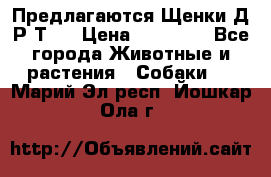 Предлагаются Щенки Д.Р.Т.  › Цена ­ 15 000 - Все города Животные и растения » Собаки   . Марий Эл респ.,Йошкар-Ола г.